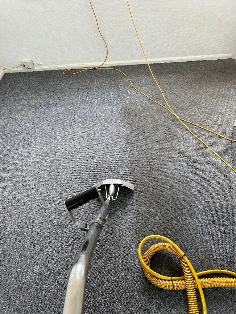 Carpet Cleaning Work 2
