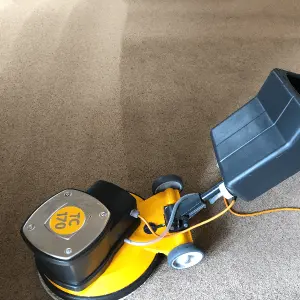 Professionally cleaned living room carpet