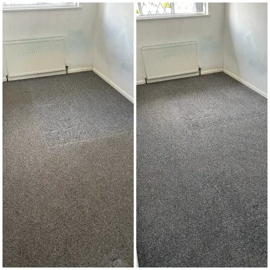 Carpet Cleaning Work 5